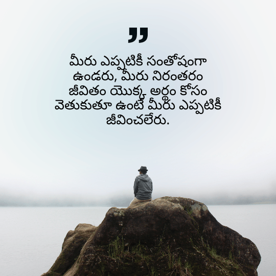 Meaning of Life Quotes Telugu
