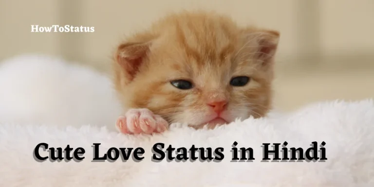 Cute Love Status in Hindi