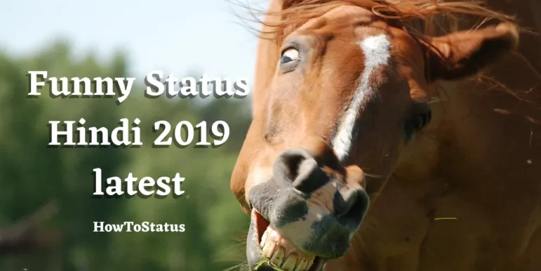 Funny Status Hindi 2019 latest
