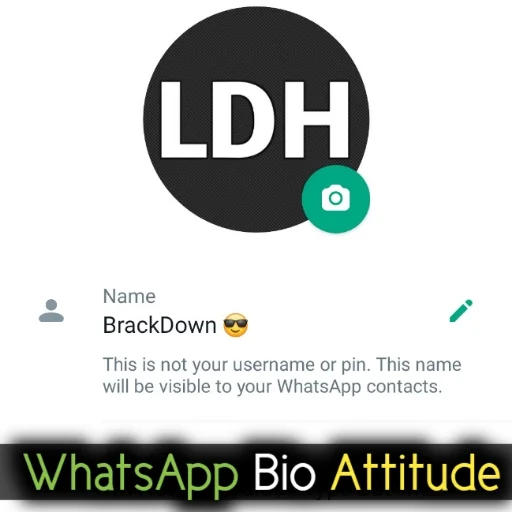 WhatsApp bio attitude