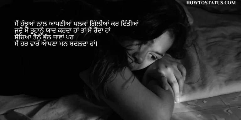 Aanshu Quotes in Punjabi