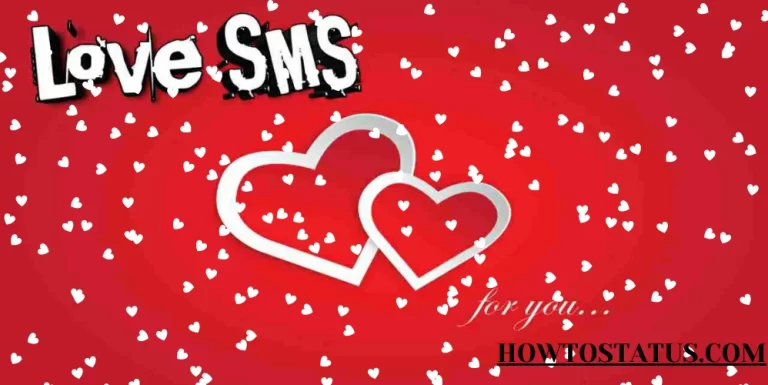 Top 20+ Love SMS in Punjabi